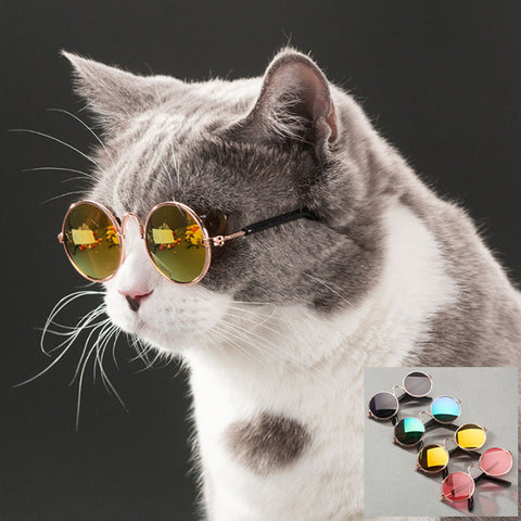 Eye Protection Pet Sunglasses