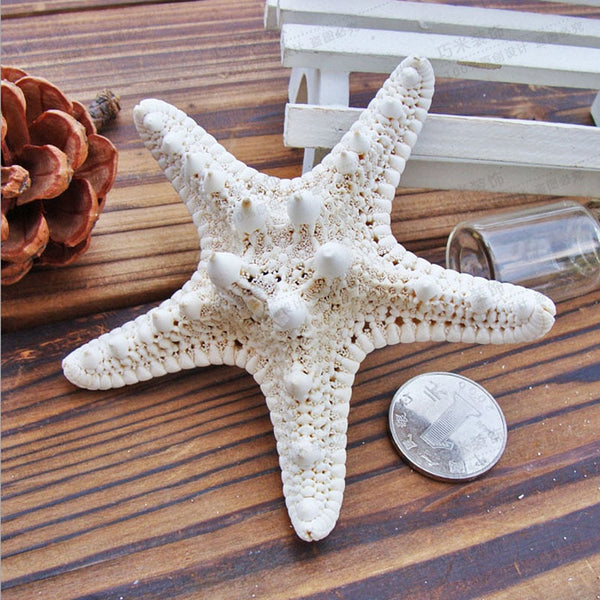 1pc Mini Starfish Craft Decoration