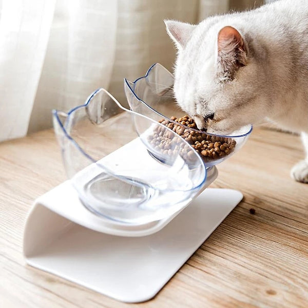 Non slip Double Cat Bowl with Raised Stand Pet Food Cat feeder
